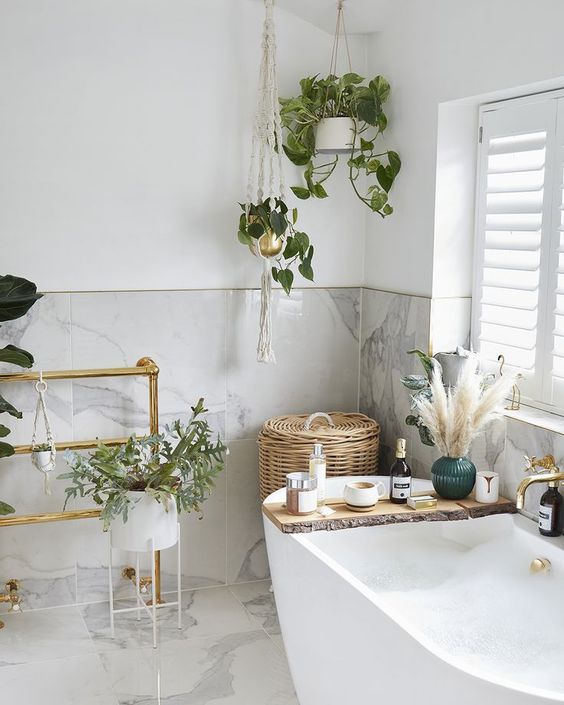 Plants in interior design: bring your home to life
