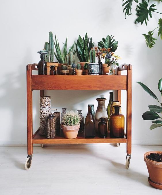 Plants in interior design: bring your home to life