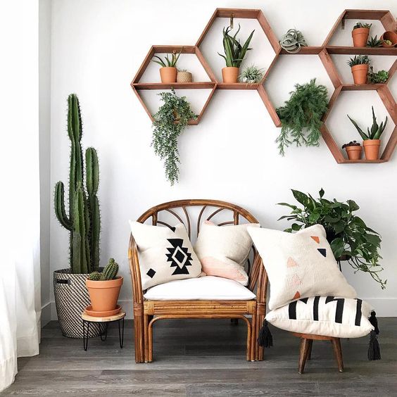 Plants in interior design: bring your home to life